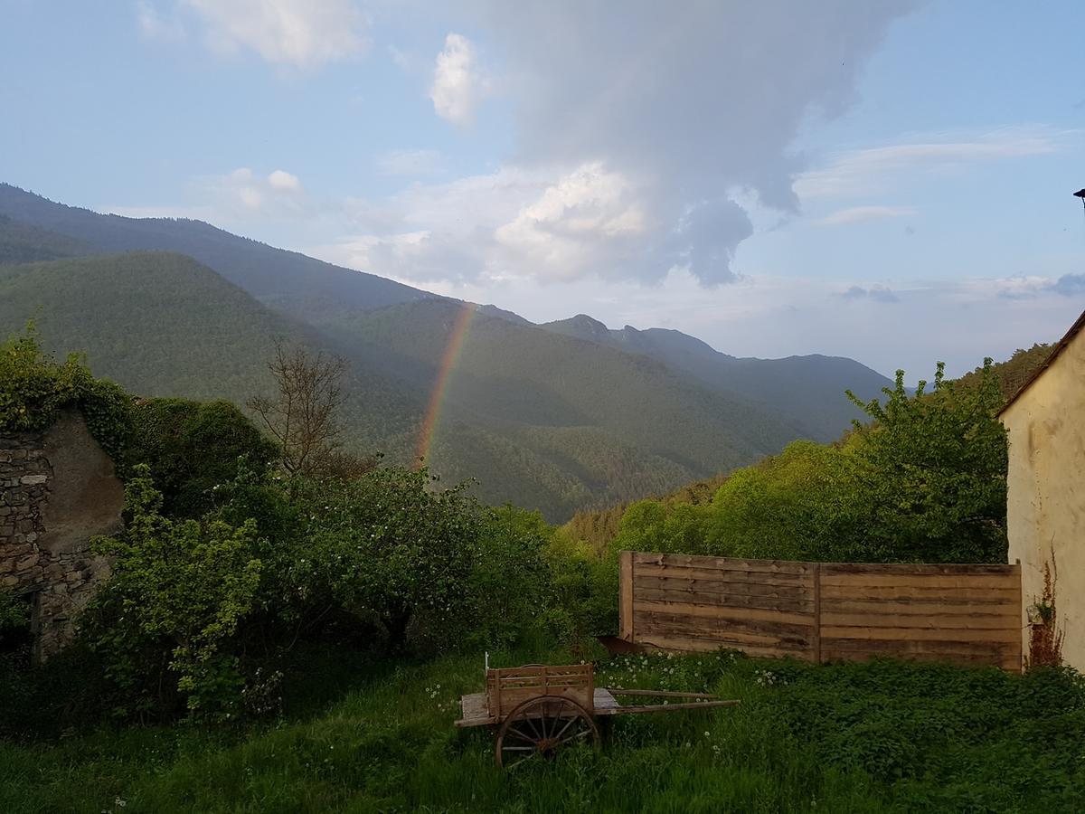Domaine Des Massols Bed & Breakfast Marsat Екстериор снимка